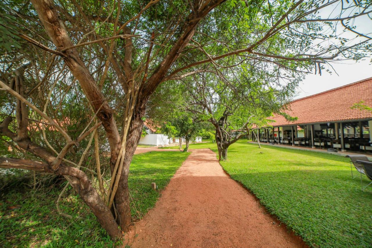 Sigiriyajungles Resort & Spa Luaran gambar