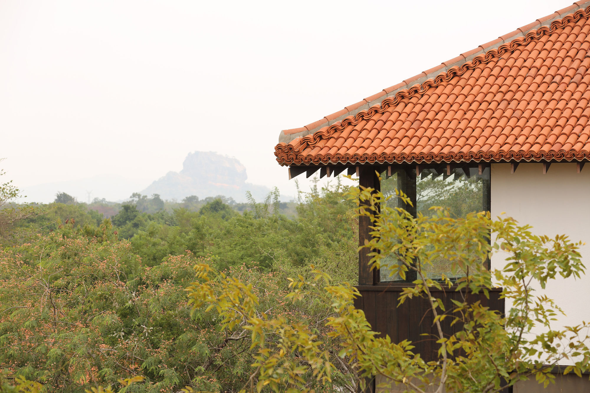Sigiriyajungles Resort & Spa Luaran gambar